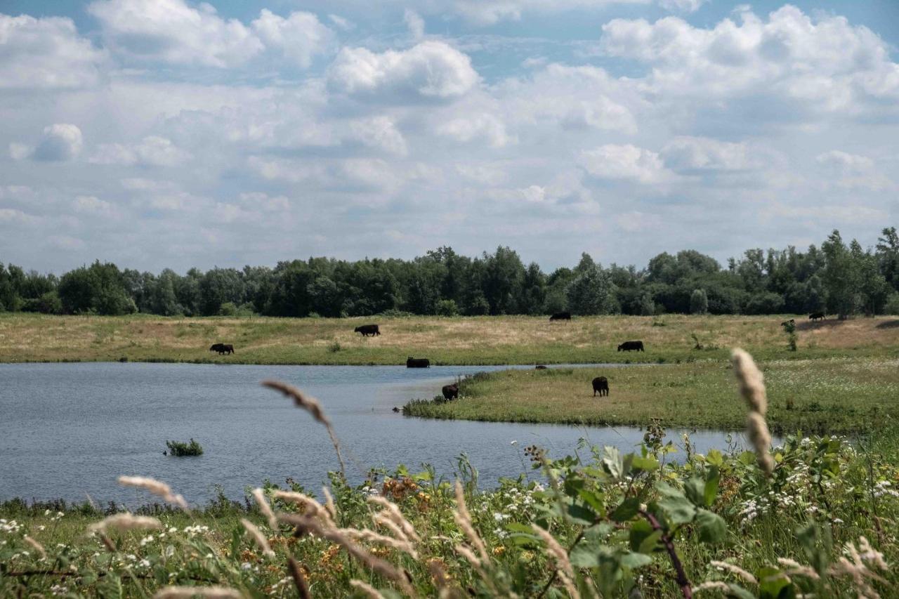 Guesthouse De Wissen Dilsen Stokkem Bagian luar foto